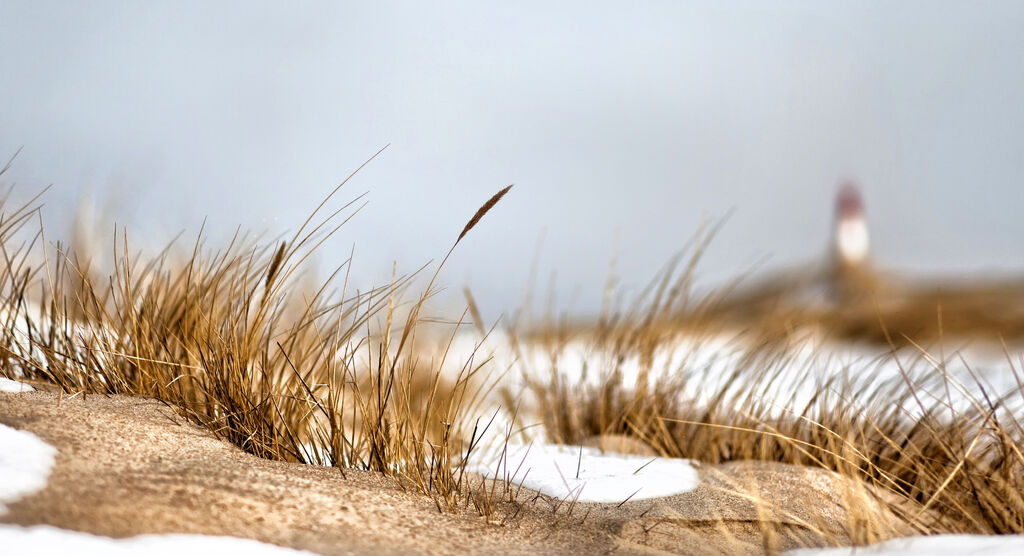 Schneebedeckte Düne mit dornenartigem Gras im Vordergrund