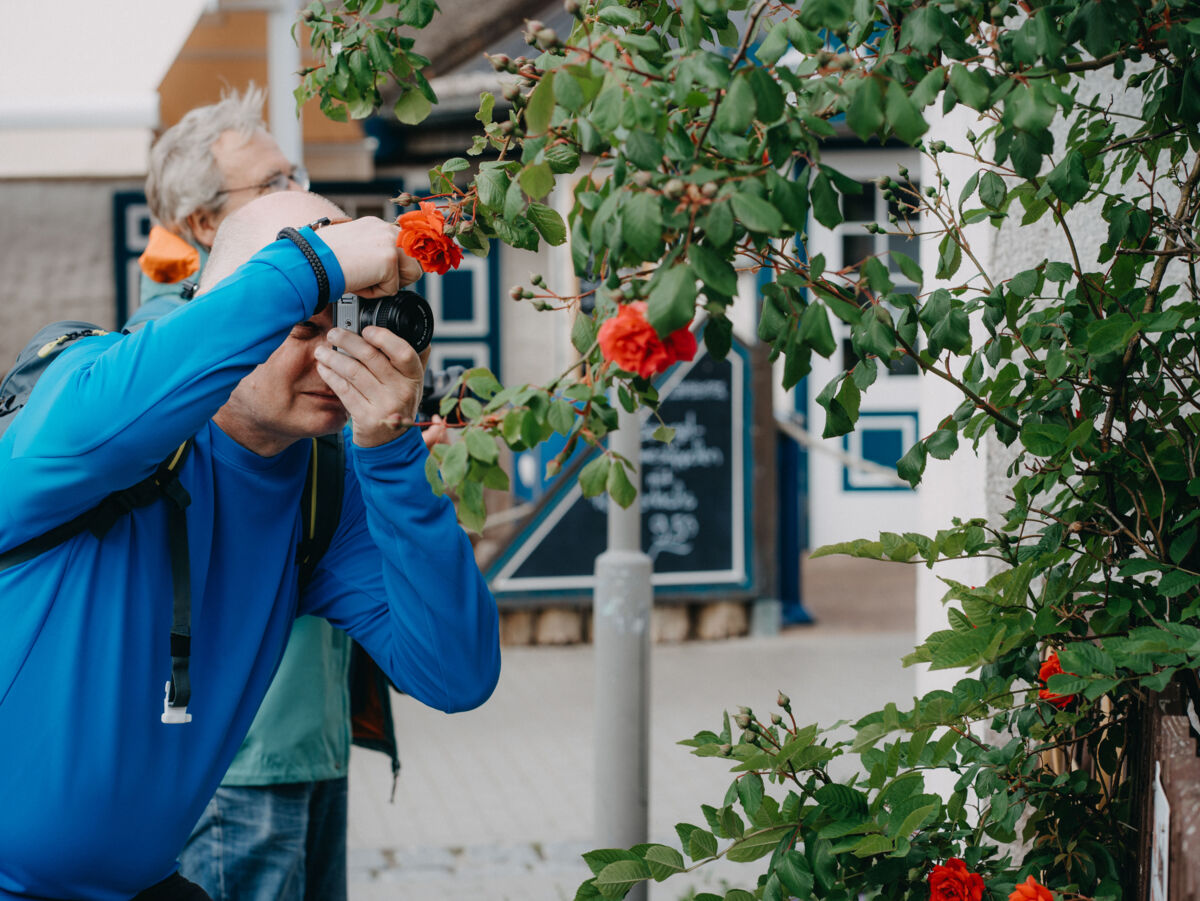 Person fotografiert rote Rosen an einem Strauch, im Hintergrund sind Gebäude und Schilder zu sehen.