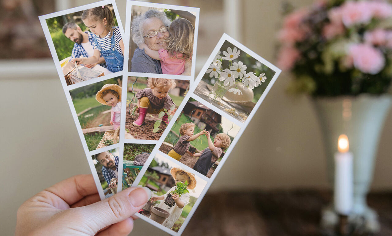 Drei CEWE Grußkarten mit Familienfotos und Blumenmotiven