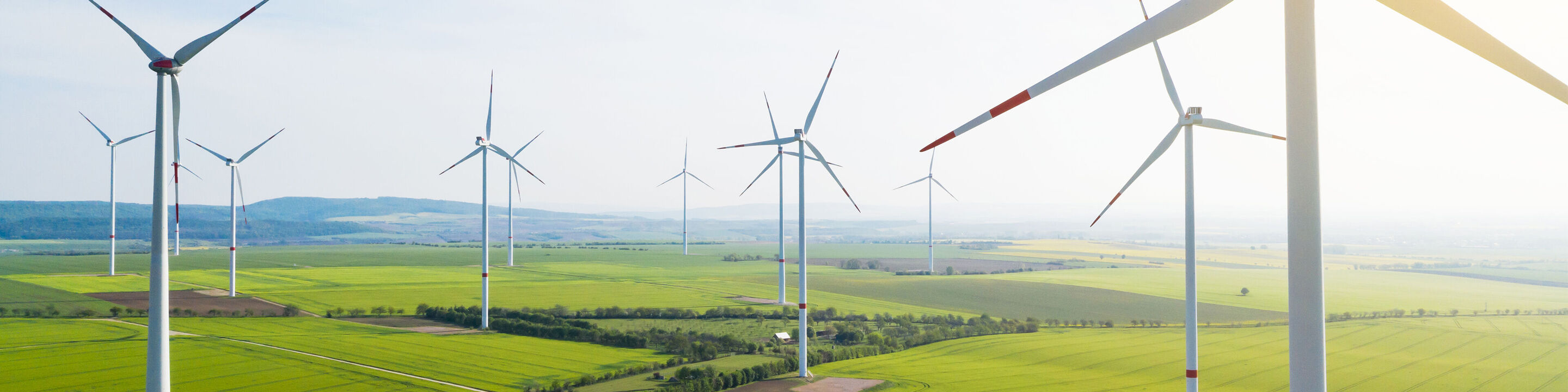 Ein weites grünes Feld mit vielen Windrädern, die sich sanft im Wind drehen.