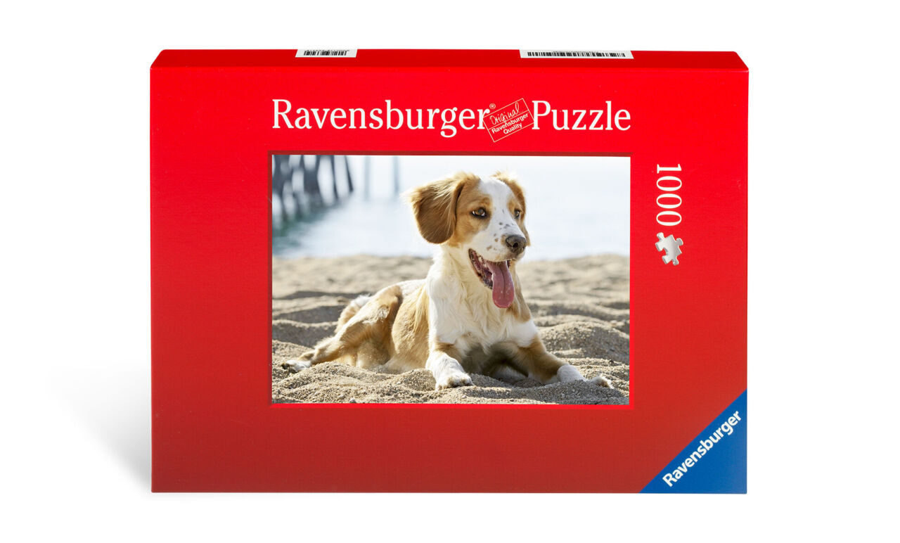 Puzzlemotiv mit einem glücklichen Hund am Strand
