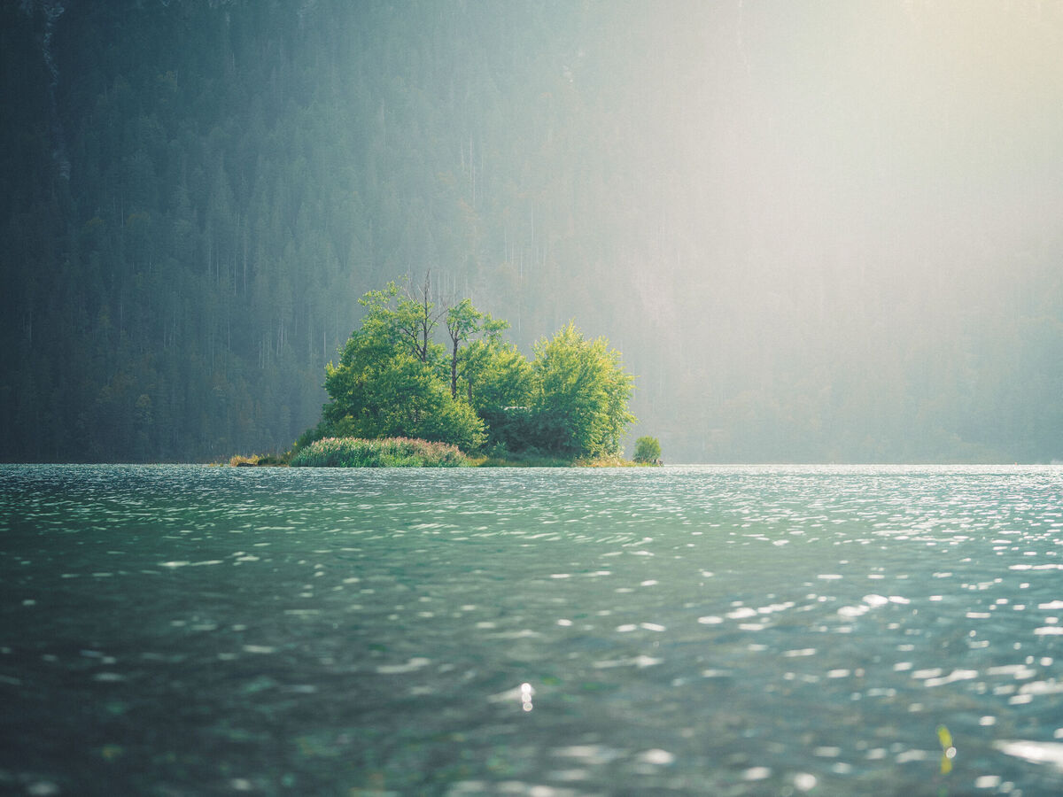 Eine kleine, grüne Insel in einem ruhigen See, umgeben von Wäldern.