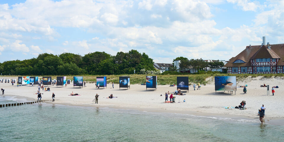 Eine Fotoausstellung entlang eines Strandes.