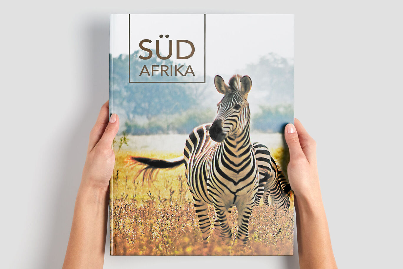 Zwei Hände halten ein Fotobuch mit einem Zebra auf dem Cover, im Hintergrund eine weite Landschaft