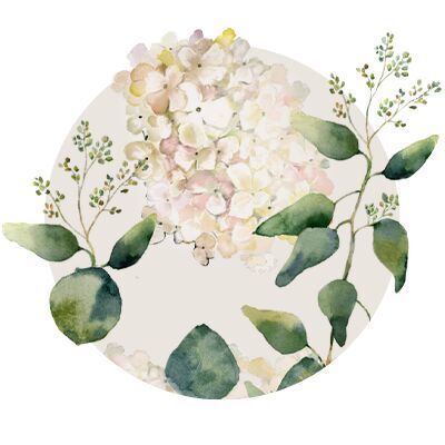 Wunderschöne Aquarellillustration von blühenden Pflanzen mit zarten Farben