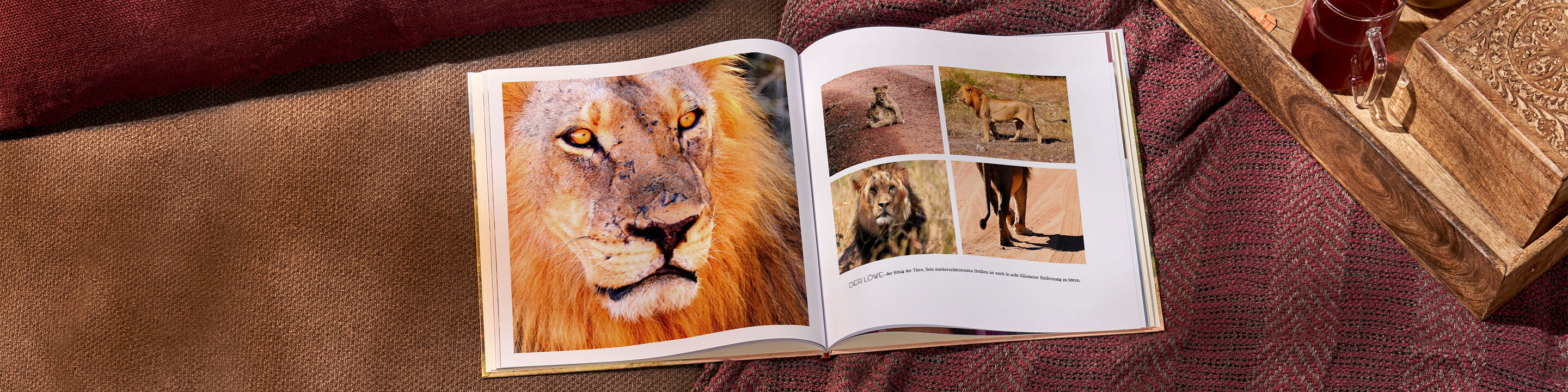 Das CEWE Fotobuch zeigt beeindruckende Löwenfotos und Tierbilder in einer herzlichen Umgebung.