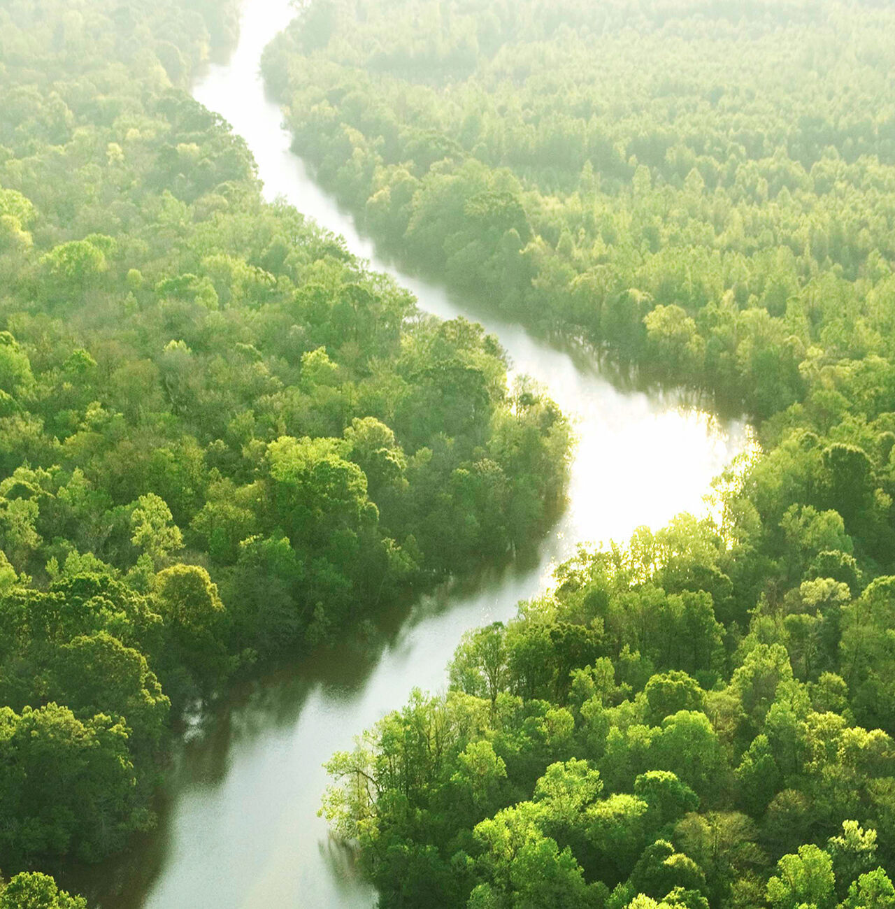 Atemberaubende, grüne Landschaft mit einem glitzernden Fluss