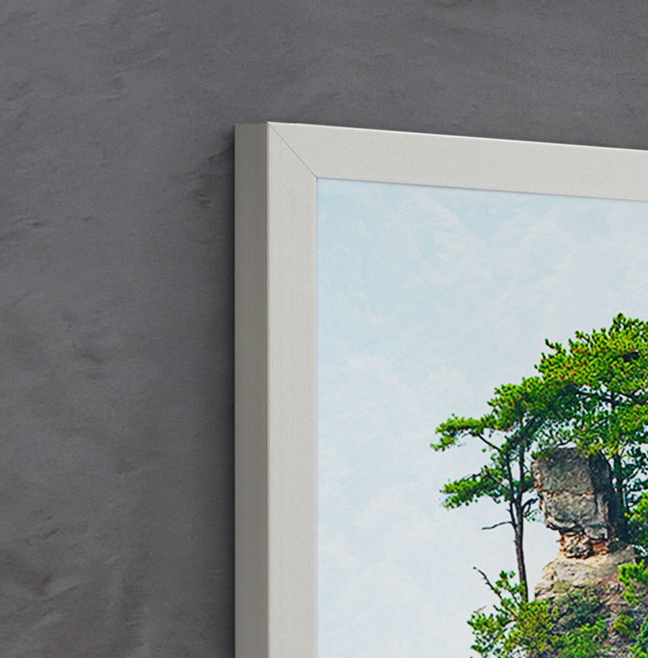 Ein Wandbild mit einem Baum, der aus einem großen Stein wächst.