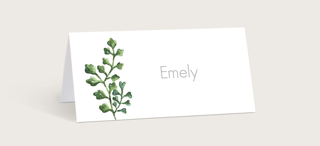 Namensschild mit dem Namen 'Emely' und einer zarten grünen Pflanze.