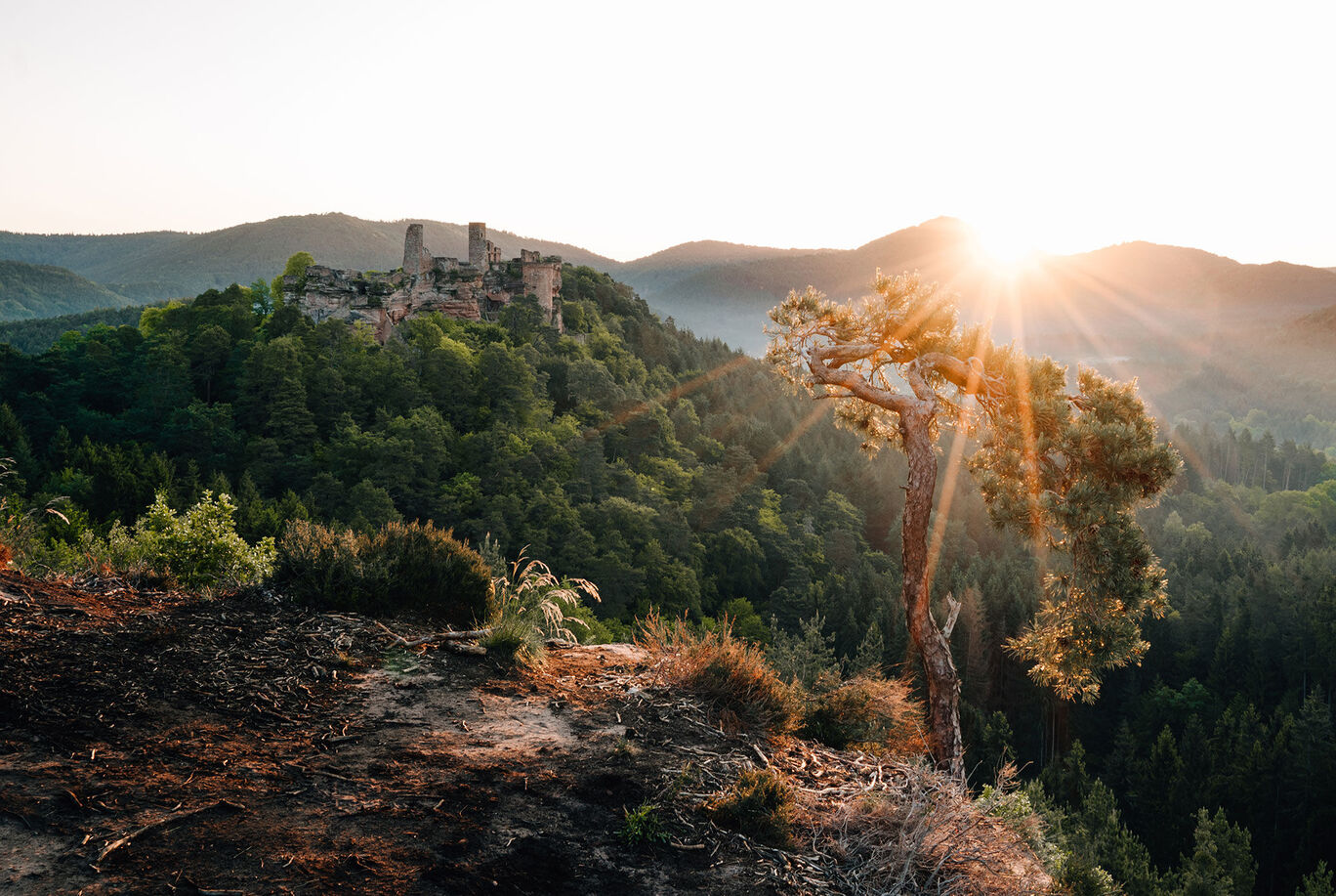 Sonnenaufgang über einer malerischen Burgruine umgeben von grünen Wäldern