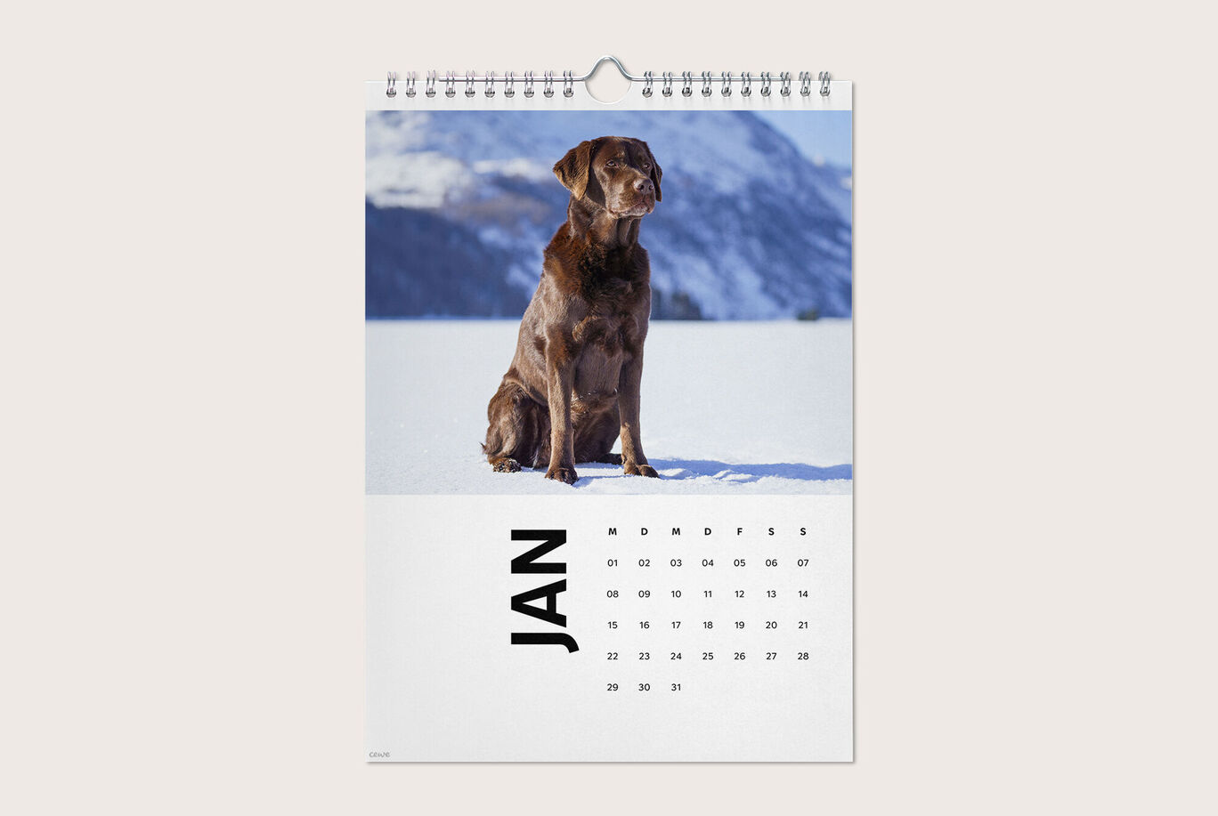 Ein brauner Hund sitzt auf Schnee vor einer Berglandschaft im Januar. CEWE Fotokalender