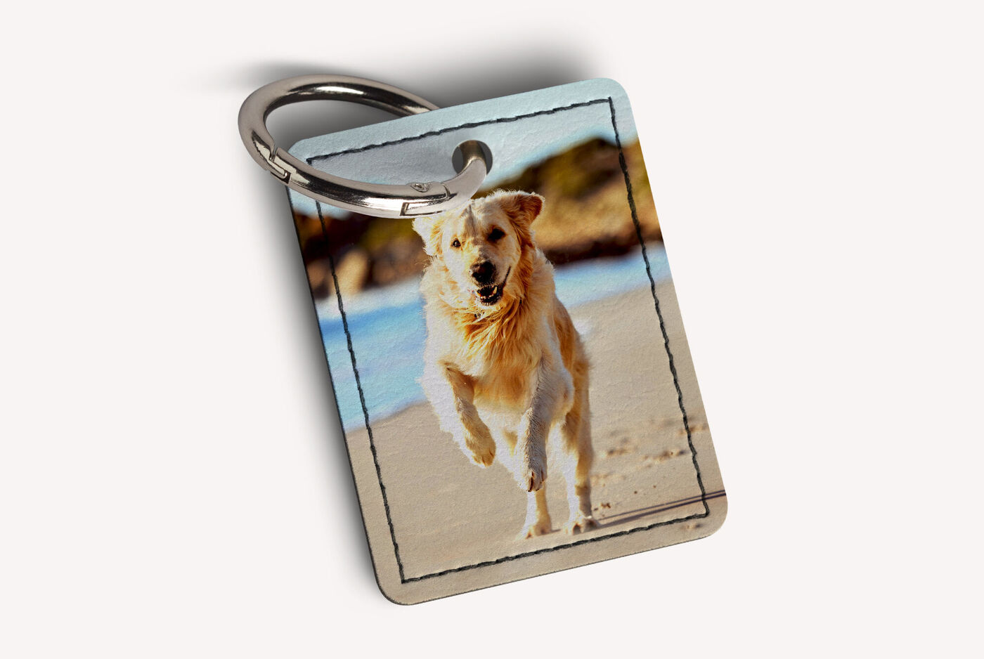 Ein Goldrüde läuft fröhlich am Strand