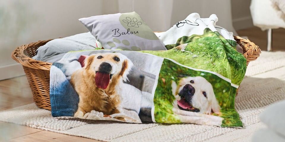 Korb mit Fotodecke und Kissen, beide mit Bildern eines fröhlichen Hundes in einem hellen Schlafzimmer