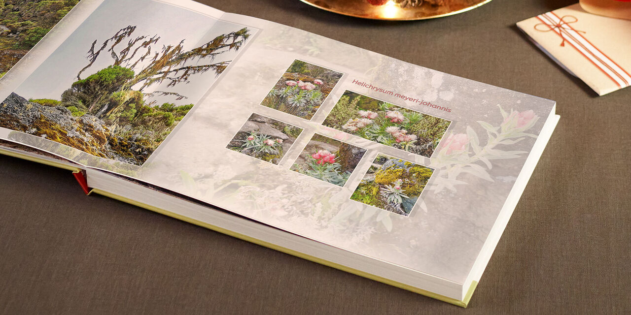 Seitenansicht eines CEWE Fotobuchs mit Fotocollage von Blumen und Pflanzen