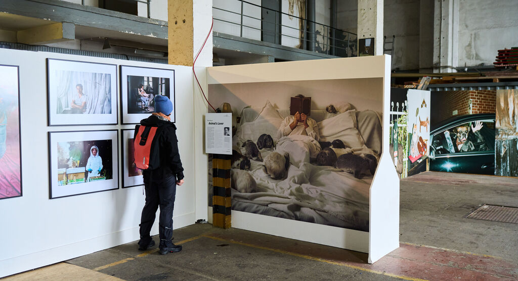 Eine Person betrachtet eine Fotografie in einer Ausstellung.