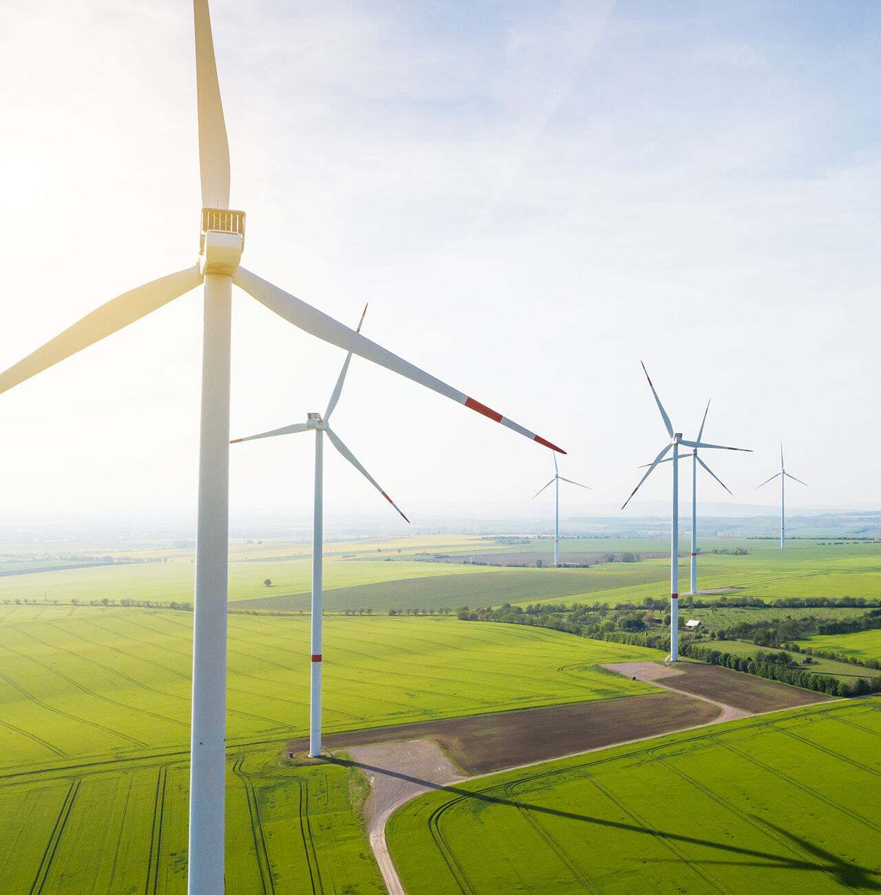 Mehrere Windkraftanlagen stehen auf einem weiten, grünen Feld im Sonnenlicht.