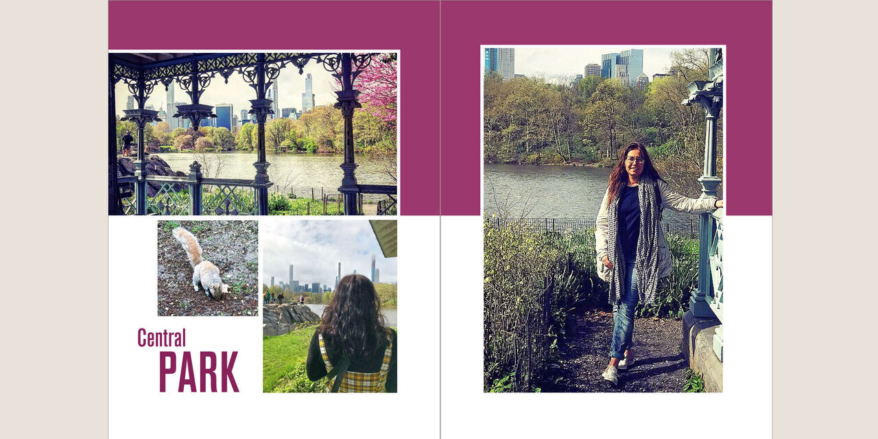 Seite aus einem Fotobuch mit Bildern aus Central Park; im Vordergrund eine Frau vor einer Brücke, eine Katze und ein Wasserlauf mit Stadtansicht im Hintergrund.
