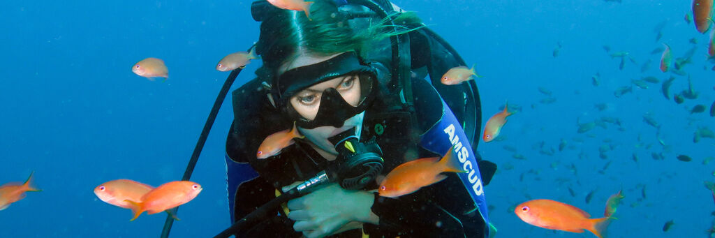 Taucher umgeben von bunten Fischen im Ozean