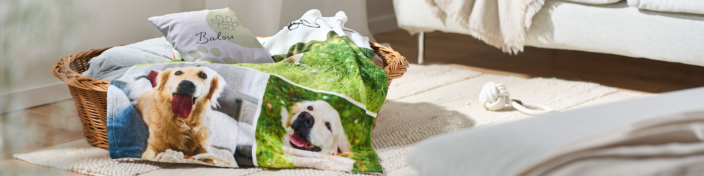 Korb mit Fotodecke und Kissen, beide mit Bildern eines fröhlichen Hundes in einem hellen Schlafzimmer