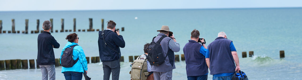 Eine Gruppe von Fotografen steht am Strand und fotografiert das Meer.
