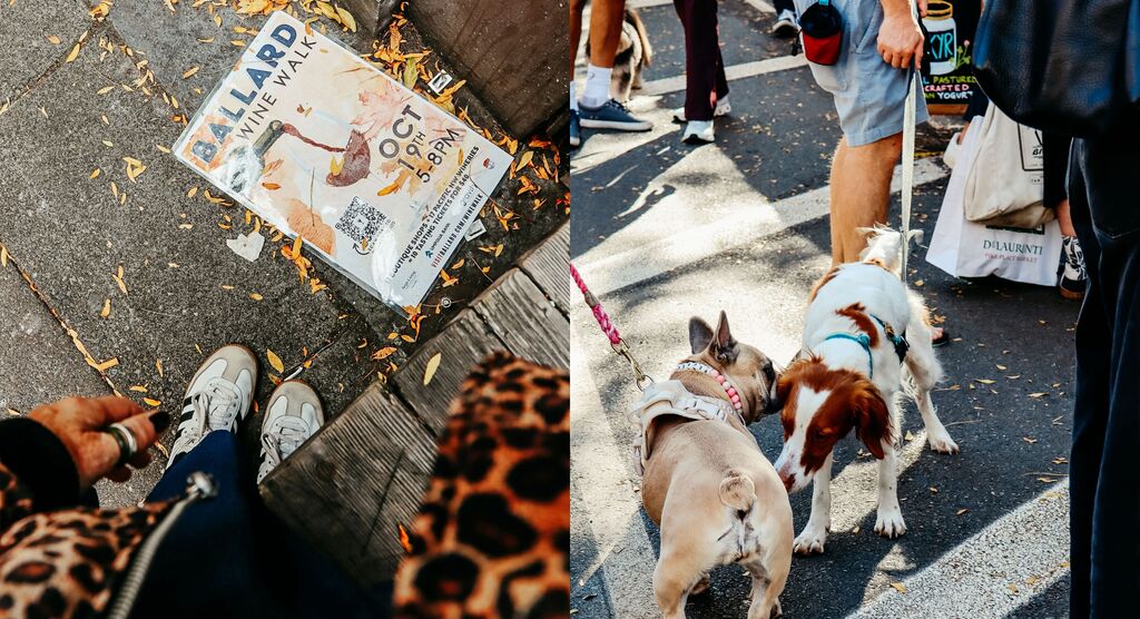 Links liegt ein Handzettel auf dem Gehweg. Rechts gehen Menschen mit drei Hunden an Leinen durch eine volle Straße