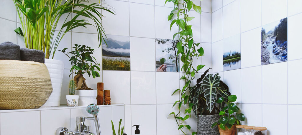 Badezimmer mit Pflanzen und Bildern an den Wänden
