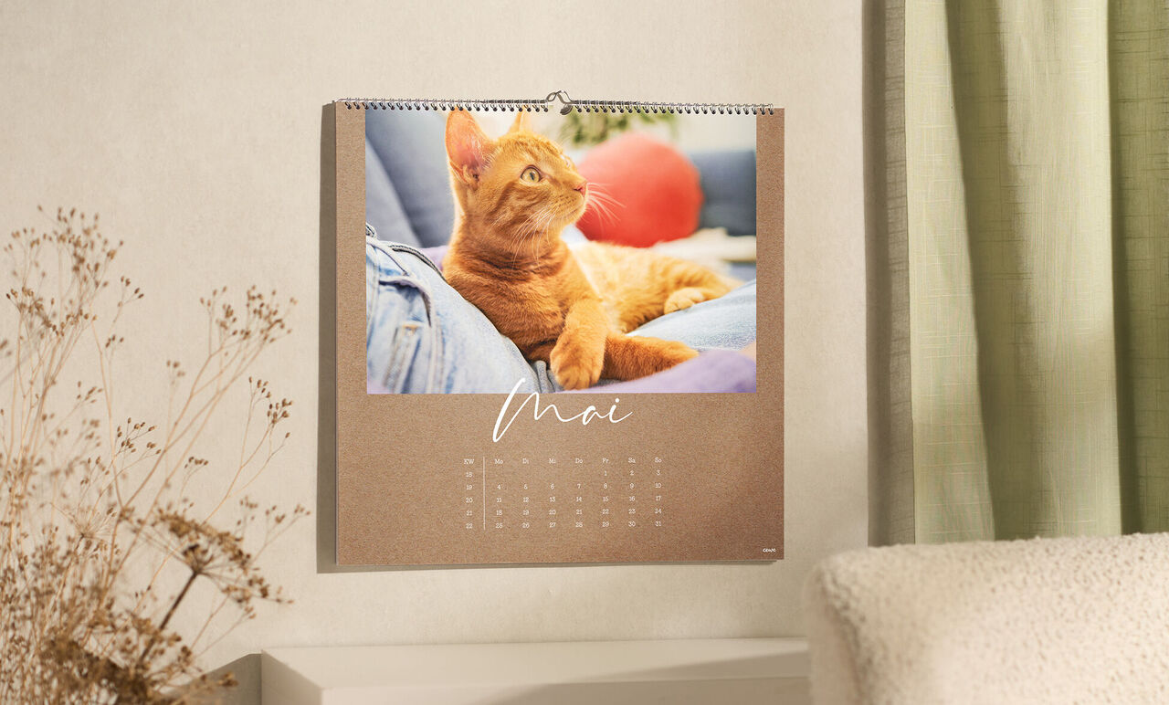 Ein kuscheliger orangefarbener Kater blickt entspannt auf einem Kalender im Mai