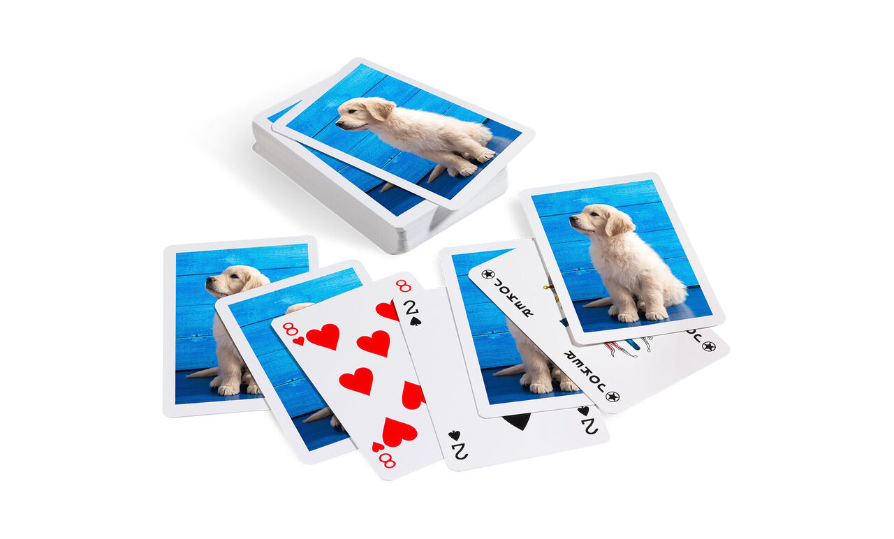 Karten mit Bildern von einem glücklichen Hund auf einem blauen Hintergrund