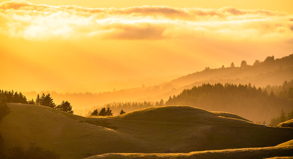 Wunderschöne goldene Landschaft mit sanften Hügeln und Sonnenstrahlen.