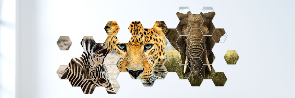 Hexagonales Wandbild mit Tiermotiven, darunter ein Zebra, ein Leopard und ein Elefant
