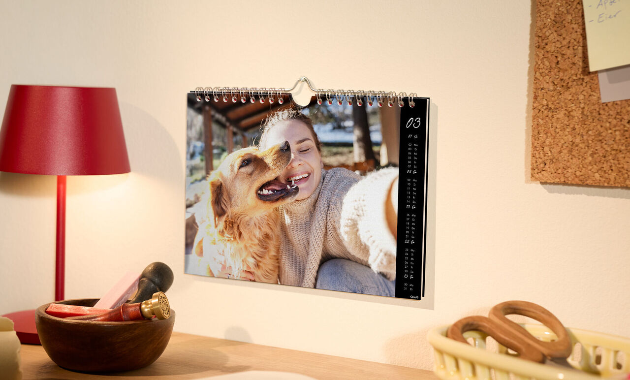 Ein bezaubernder Fotokalender mit einem Hund und einem freundlichen Menschen