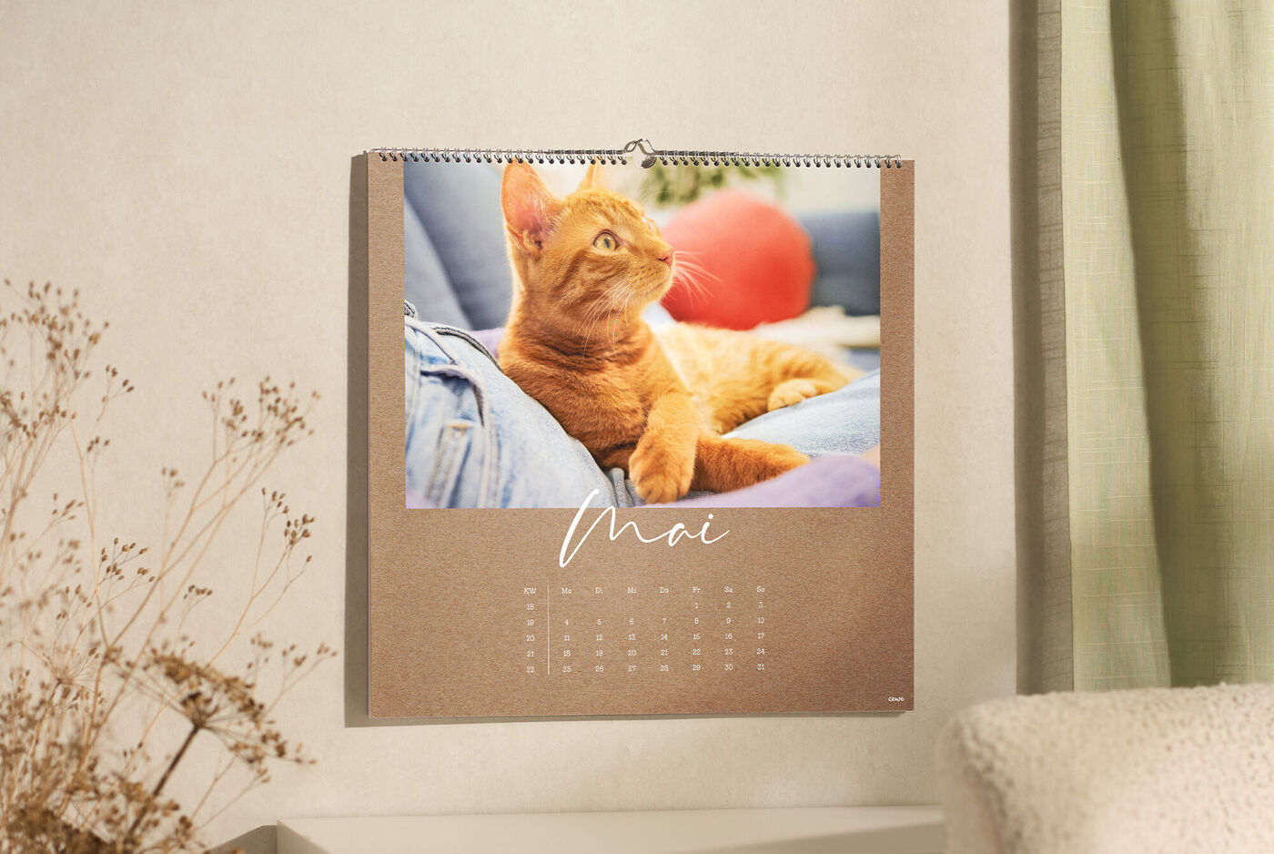 Ein CEWE Fotokalender zeigt auf der Mai‑Seite eine entspannte orangefarbene Katze, die gemütlich auf einem Sofa liegt