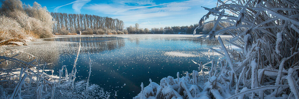 Winterliche Landschaft am See mit Eis und Schnee