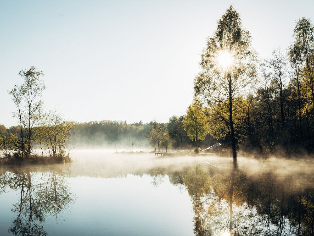Ein ruhiger Badesee am Morgen mit Spiegelung von Bäumen und Himmel.