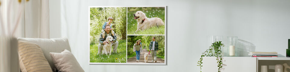 Wundervolles Wandbild mit glücklicher Familie, einem Hund und schönen Naturaufnahmen