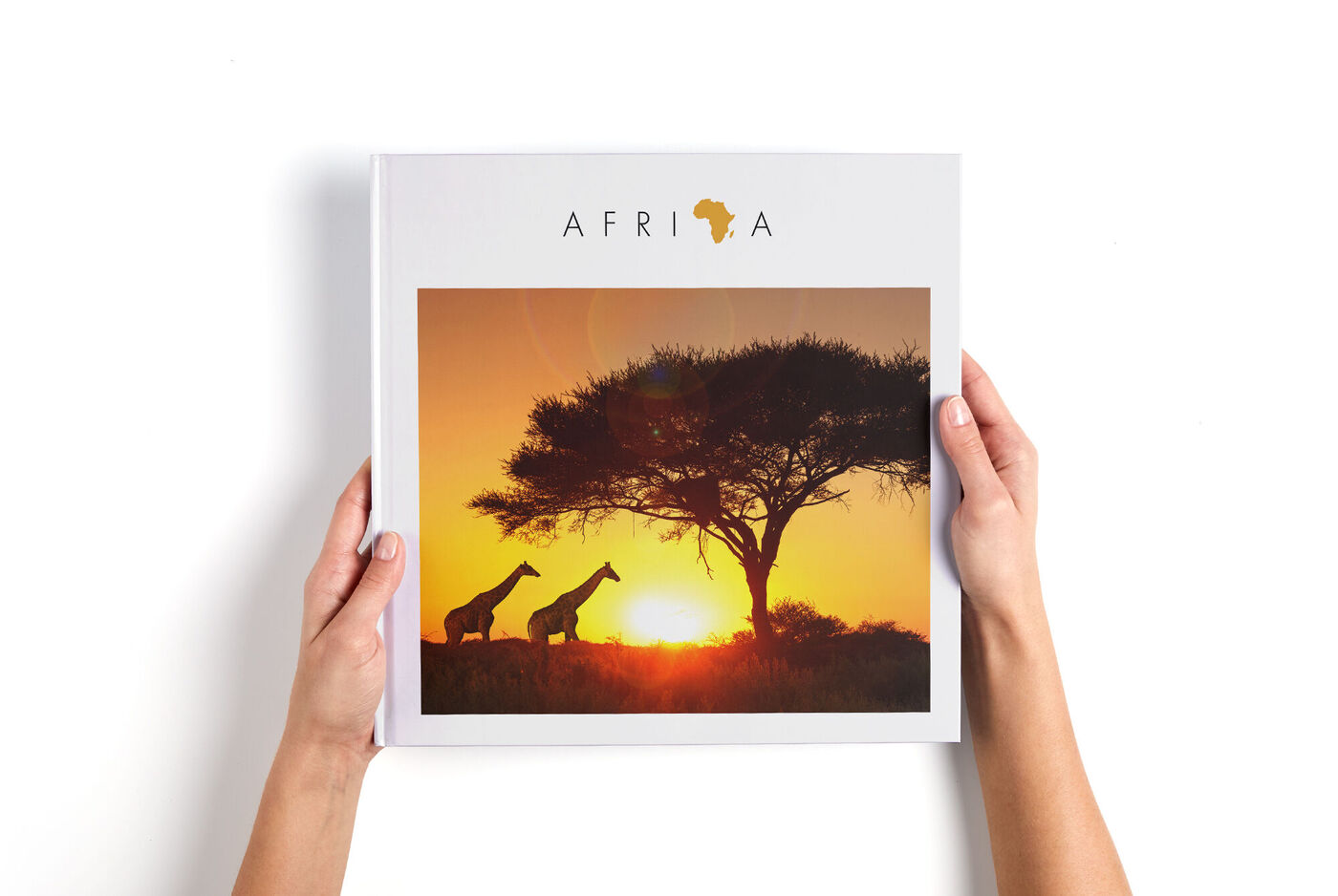 Zwei Giraffen silhouettiert vor einem Sonnenuntergang, während eine Person das Afrika-Fotobuch hält