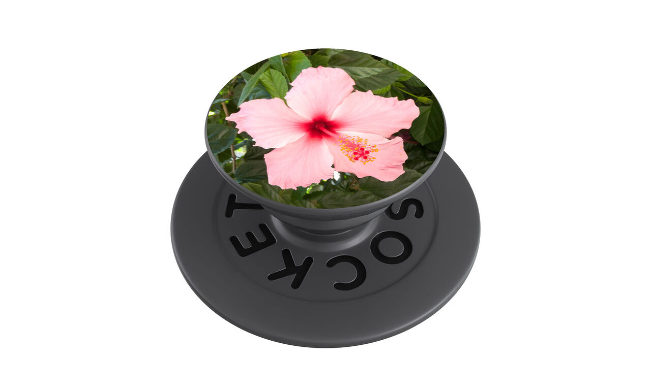 Handyhalter zum Aufkleben mit rundem Griff und Foto einer rosa Blüte vor grünen Blättern