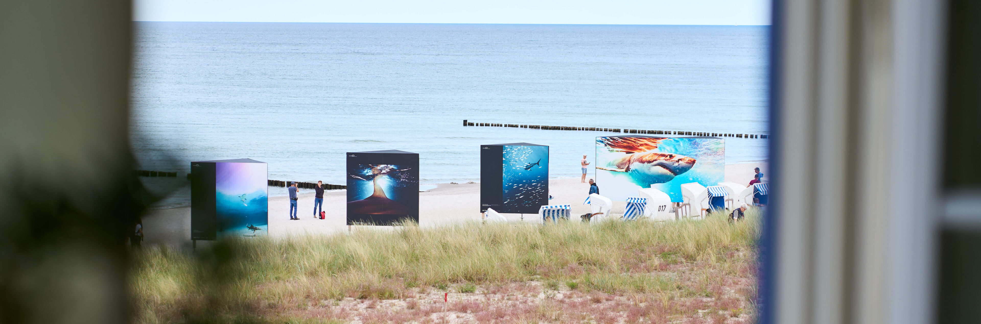 Eine Fotoausstellung erstreckt sich über einen Ostseestrand.