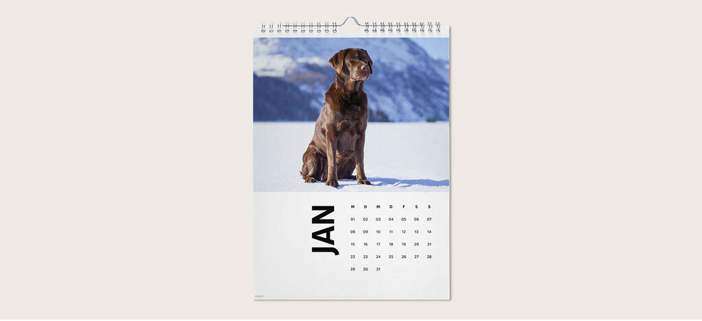 Ein brauner Hund sitzt im Schnee mit Bergen im Hintergrund