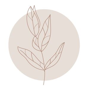  Eine minimalistische Zeichnung einer Pflanze mit filigranen Blättern in beige und braun auf einem kreisförmigen, hellbeigen Hintergrund. 