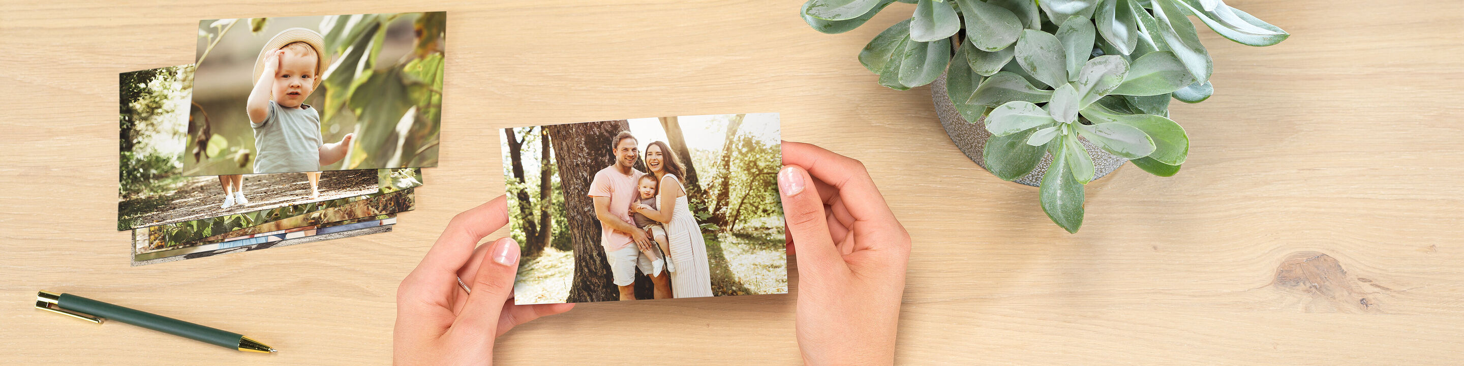 Eine Person hält ein Foto von einem Paar in der Hand. Auf einem Tisch liegen weitere Fotos und eine Zimmerpflanze ist im Hintergrund zu sehen.