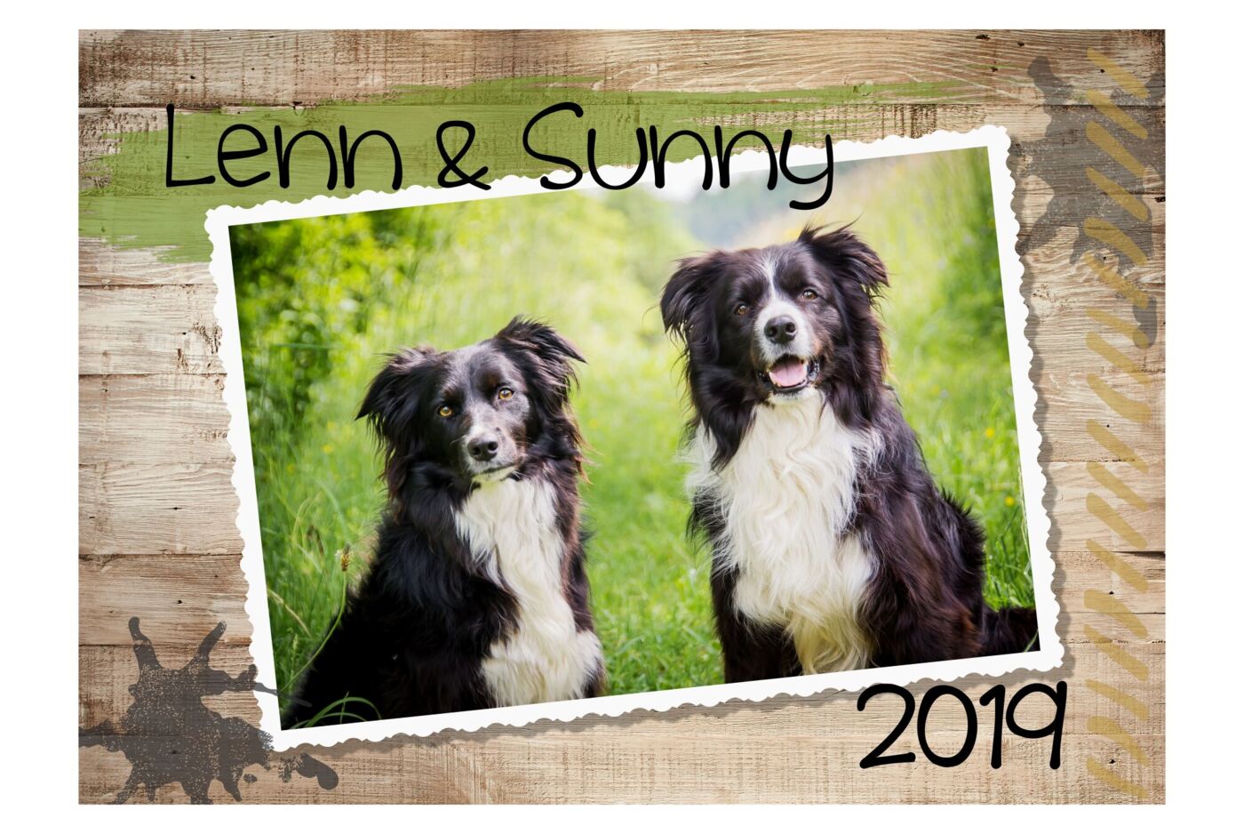 Fotokalender zwei Hunde
