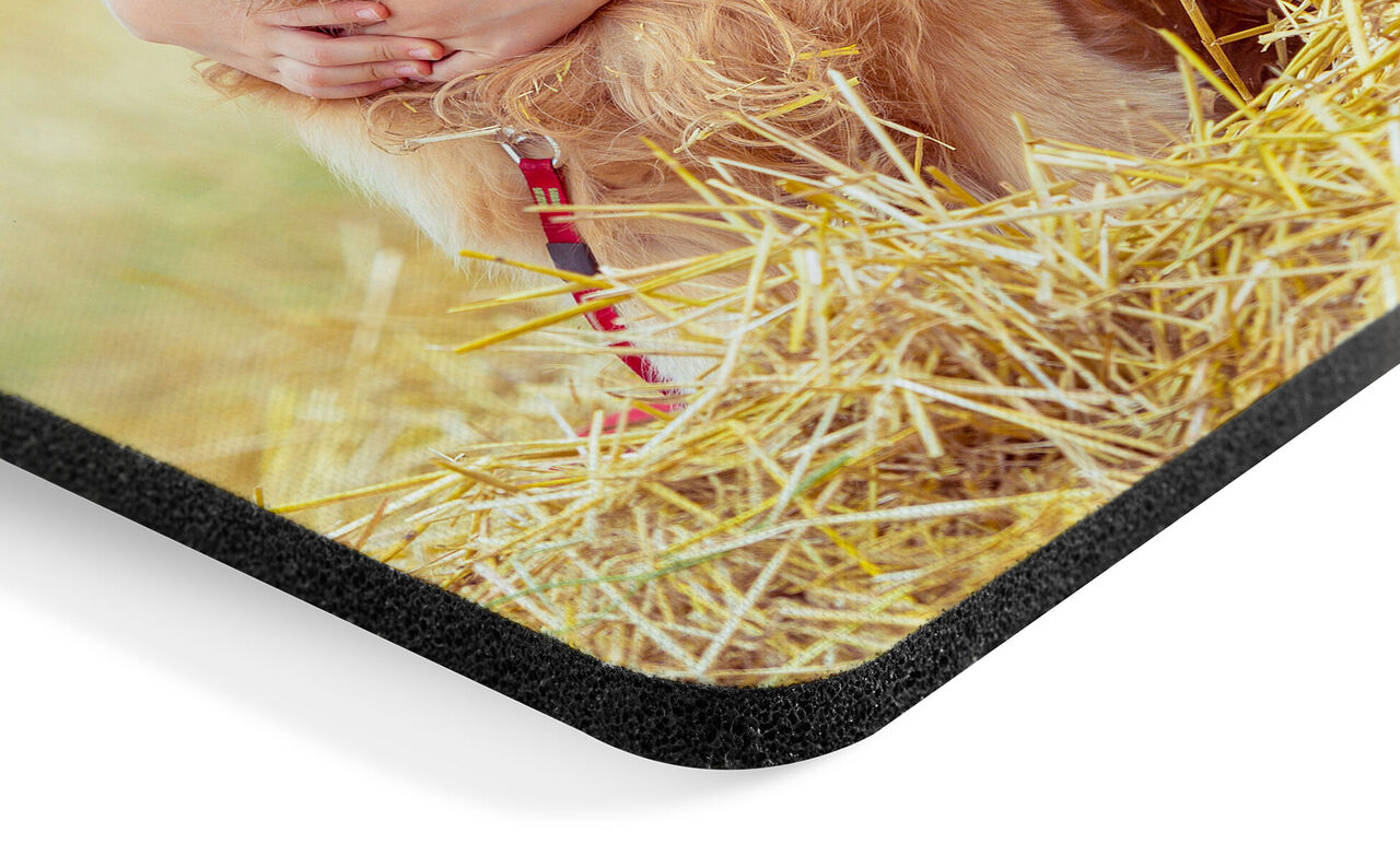 Detailansicht eines hochwertigen Fotopuzzles mit einem Bild von einem Hund auf Stroh.