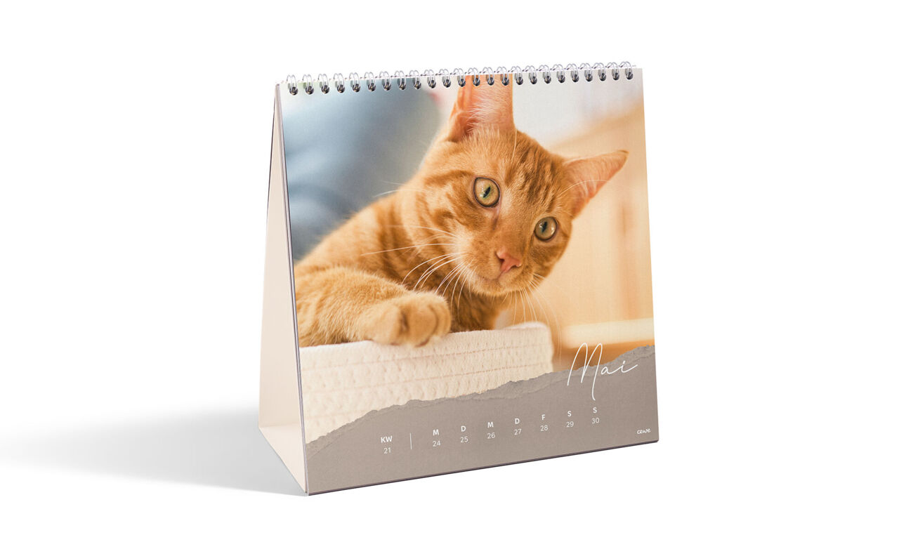 CEWE-Fotokalender als Tischkalender mit Foto einer orangefarbenen Katze, Monat Mai übersichtlich dargestellt