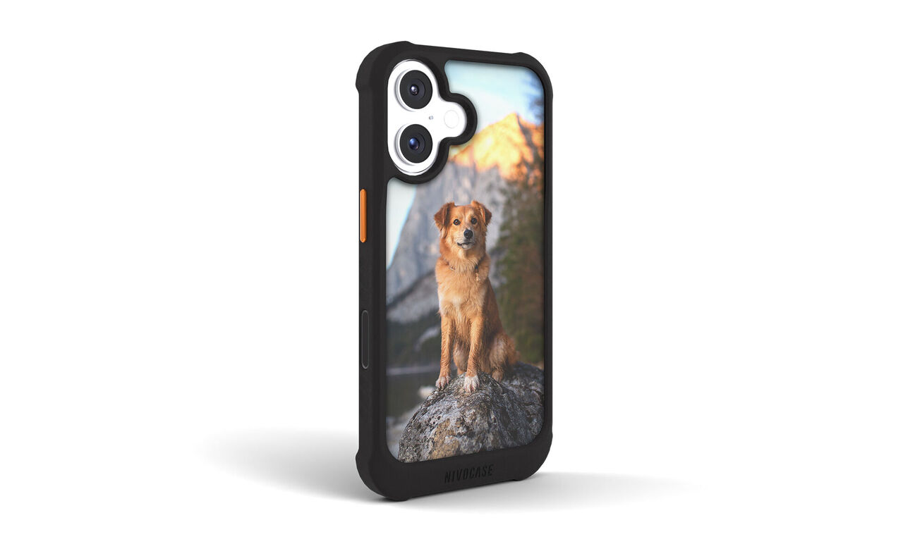 Handyhülle mit Foto eines Hundes auf einem Felsen vor Bergen im warmen Abendlicht