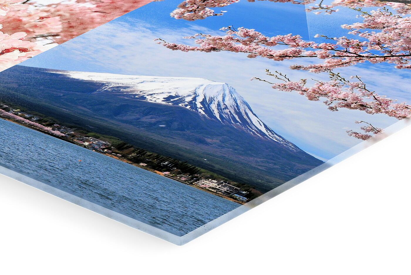 Blick auf den Fuji mit Kirschblüten im Vordergrund