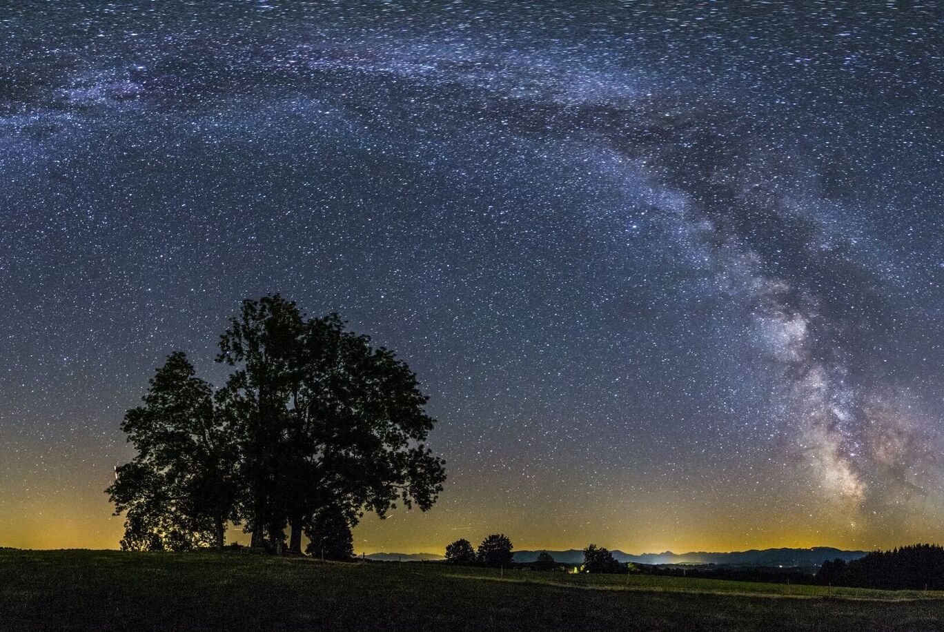 Große Bäume auf einer Wiese unter dem leuchtenden Sternenhimmel mit Milchstraße.