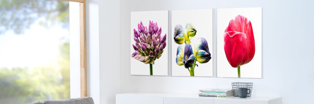 Drei strahlende Blumenbilder in einem hellen Raum, zur Ideenfindung für dekorative Gestaltung